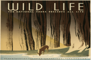 Ein Plakat mit der Aufschrift "Wild Life: Die Nationalparks bewahren alle Leben" mit einem Reh, das in Wasser umgeben von Bäumen steht.