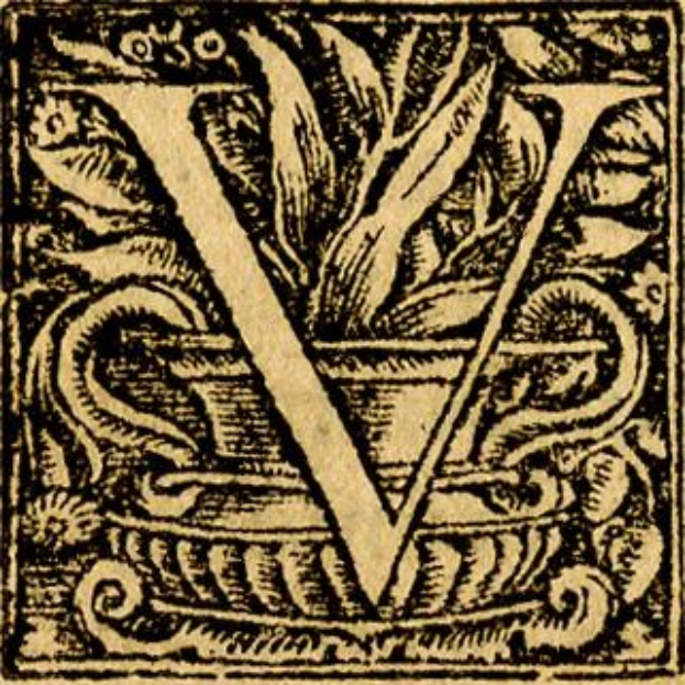 Schwarze und weiße Gravur des Großbuchstabens "V" mit einem dekorativen Rahmen.