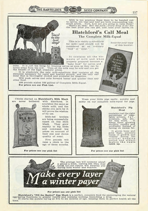 Eine alte Werbung mit einer hellbraunen Kuh mit weißer Schnauze und Brust, aufgestellten Ohren und einem freundlichen Gesichtsausdruck, umgeben von fetter, gelber Schrift.