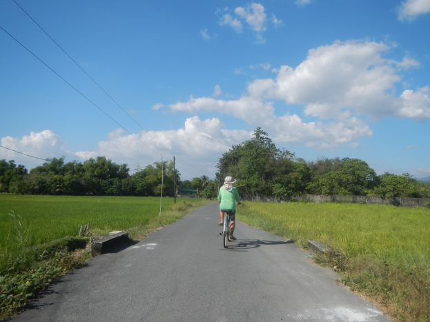 Ein Radfahrer mit Helm fährt auf einer Straße mit grünem Gras und Pflanzen, mit Bäumen, Masten, Drähten, einer Wand und einem bewölktem Himmel im Hintergrund.