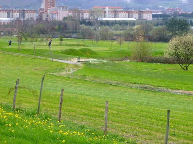 Golfplatz mit saftig grünem Rasen, hohen Bäumen, gelben Blumen im Vordergrund, Gebäuden und wolkenlosem Himmel im Hintergrund und Menschen, die Golf spielen.
