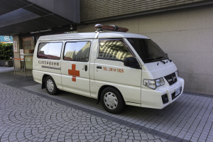 Schwerer Unfall in Lebenstedt: Rettungskräfte retten eingeklemmte Frau