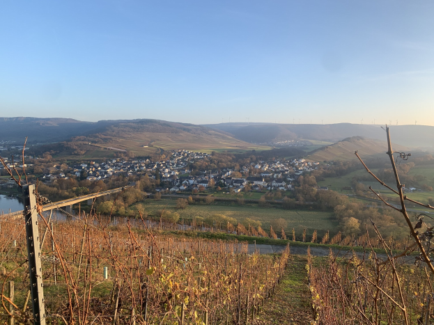 Eine malerische Aussicht auf das Rheintal von einem Hügel aus, mit grünem Laub, Häusern und einer Brücke, die den Fluss überspannt, vor einem blauen Himmel und sanften Hügeln.