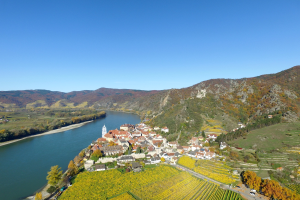 Kleiner Ort an den Ufern des Rheins, umgeben von grünen Hügeln und Weinbergen, mit Gebäuden, Bäumen und Fahrzeugen im Vordergrund unter einem blauen Himmel.