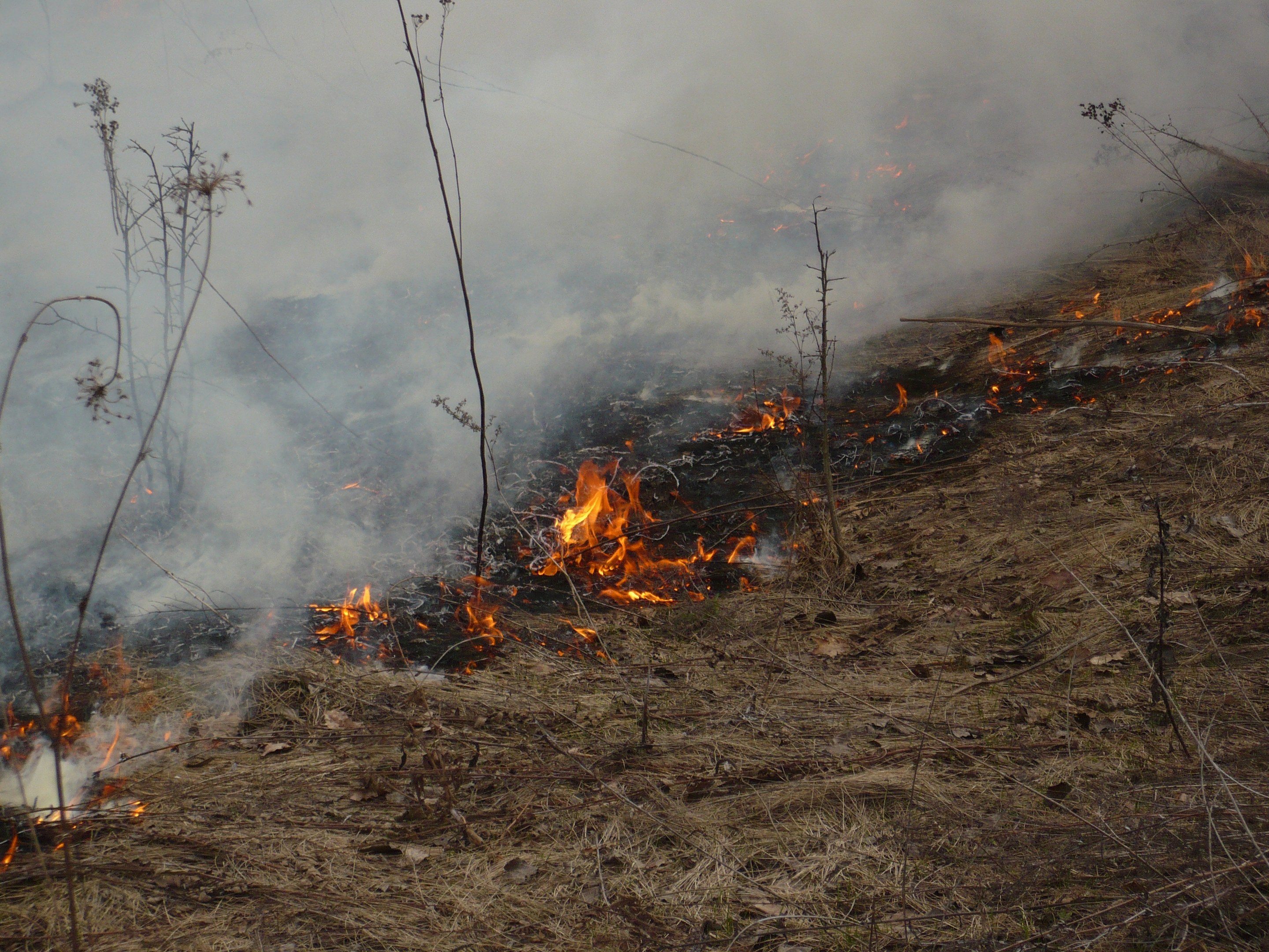 Verschriebener Brand in einem Grasfeld mit aufsteigendem Rauch.