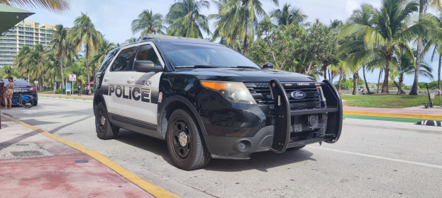 Polizeifahrzeug am Straßenrand geparkt mit Menschen, Fahrrädern, Gras, Bäumen, Gebäuden und einem klaren blauen Himmel im Hintergrund.