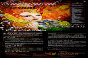 Eine Frau in einem bunten Kleid, die fröhlich in die Kamera lächelt, umgeben von der Schrift "Carnaval Festival 2014" in fetter schwarzer Schrift auf einem leuchtend gelben Hintergrund.