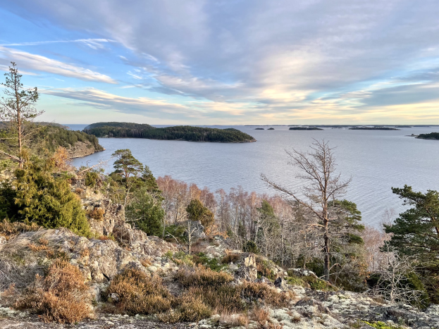 Eine malerische Aussicht von einem Hügel aus auf einen See, mit Bäumen, Pflanzen und Felsen im Vordergrund und einem bewölkten Himmel im Hintergrund.